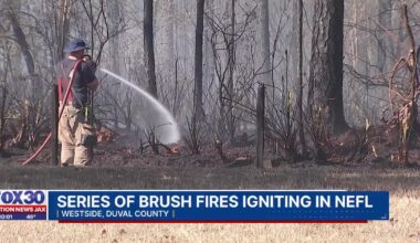 Dry weather conditions help spur wave of fires across Jacksonville, northeast Florida – Action News Jax