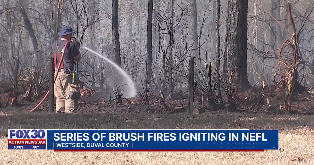 Dry weather conditions help spur wave of fires across Jacksonville, northeast Florida – Action News Jax