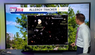 A cooler day as onshore winds return – Action News Jax