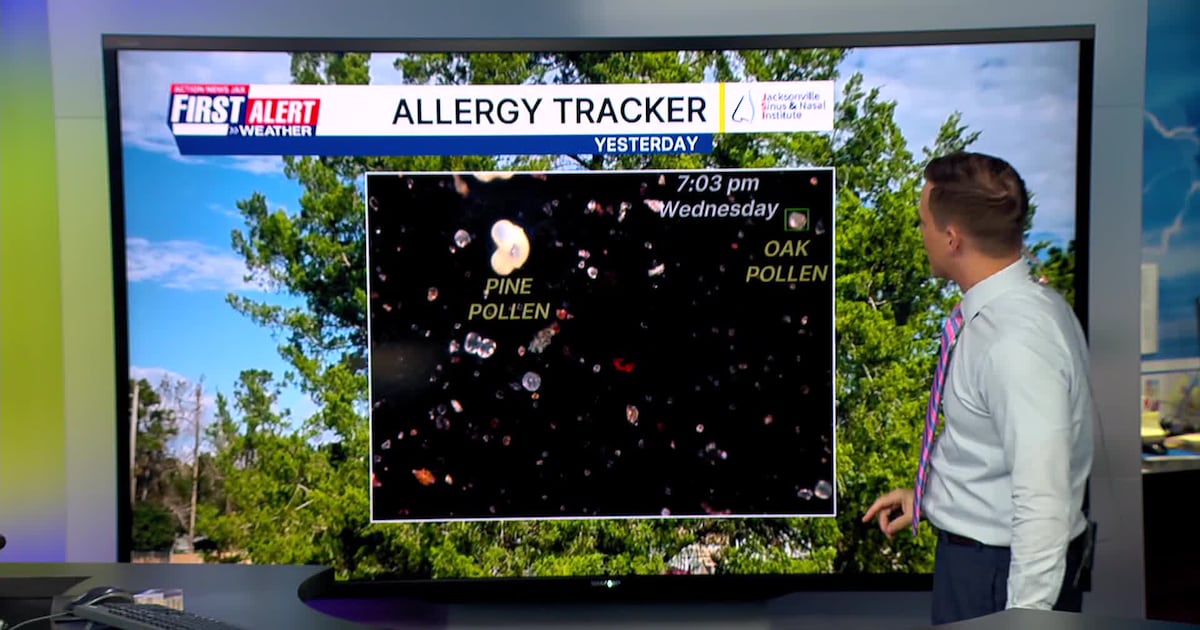 A cooler day as onshore winds return – Action News Jax