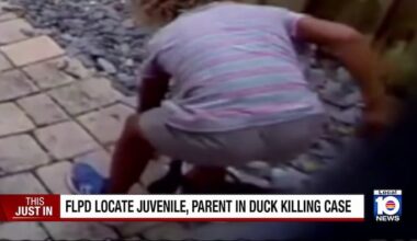 Fort Lauderdale police locate boy accused of stomping duck to death