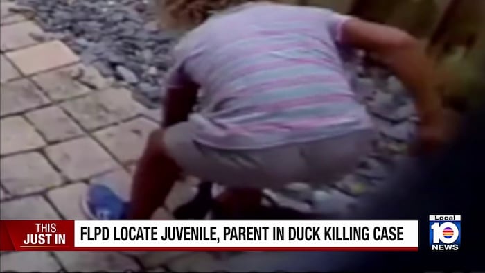 Fort Lauderdale police locate boy accused of stomping duck to death