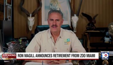 Wildlife expert Ron Magill announces retirement from Zoo Miami