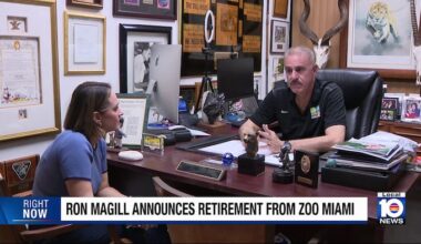 Zoo Miami’s Ron Magill ‘totally overwhelmed’ by reaction to retirement announcement
