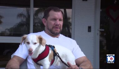 Dog rescued from busy I-95 after owner crashes