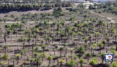 Officials, activists urge Miami-Dade commissioners to reverse course on UDB decision