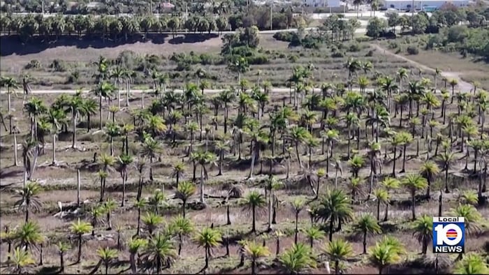 Officials, activists urge Miami-Dade commissioners to reverse course on UDB decision