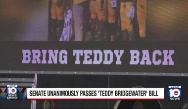 Florida Senate unanimously passes ‘Teddy Bridgewater bill’