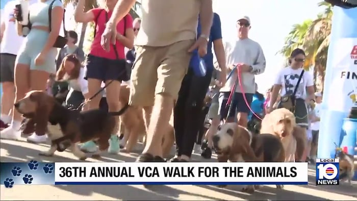 VCA Walk for the Animals returns to Fort Lauderdale to support Humane Society of Broward