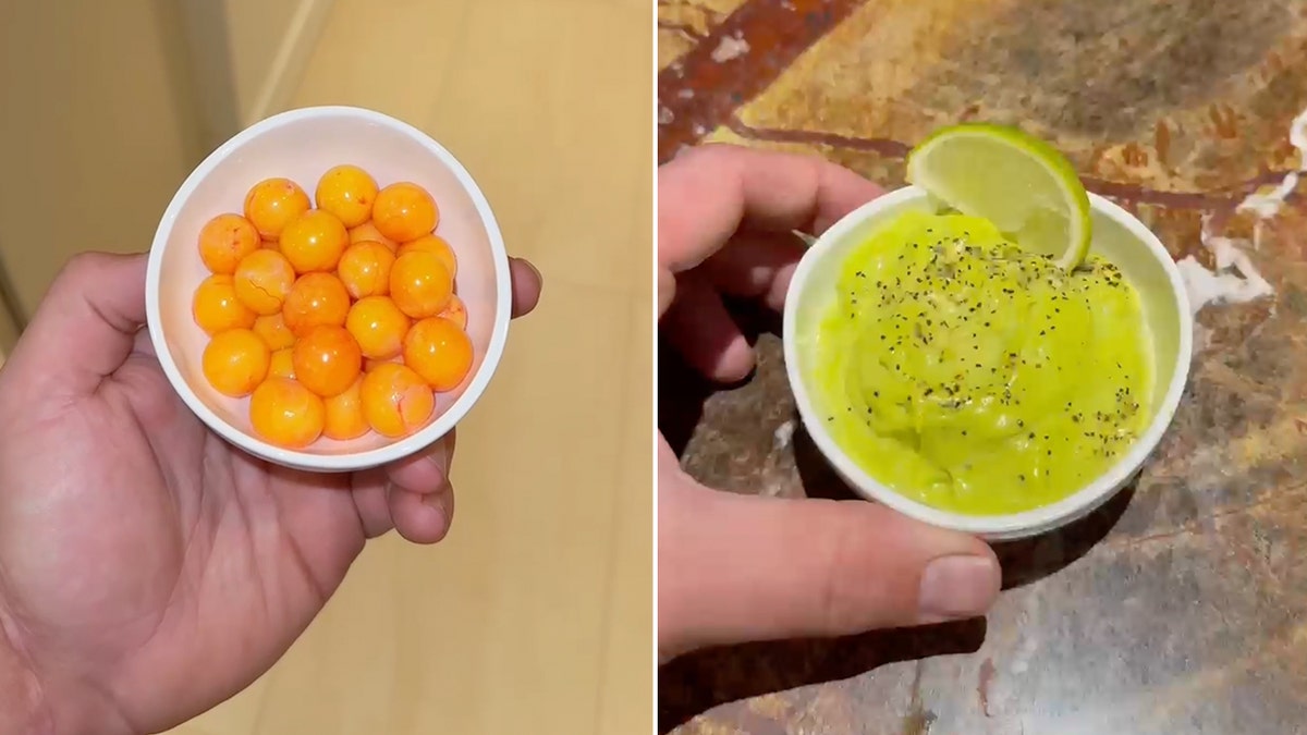 A cup of iguana eggs is turned into a sauce for iguana meat.