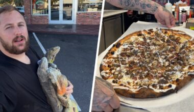 Florida Pizza Shop Selling Iguana Pizza Gets Reported to Health Department