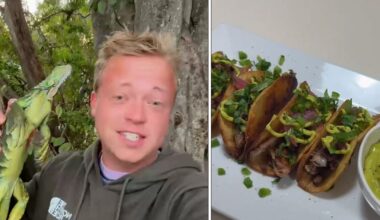 TikToker eats iguana tacos during South Florida cold snap: 'That right there is a Florida man taco'