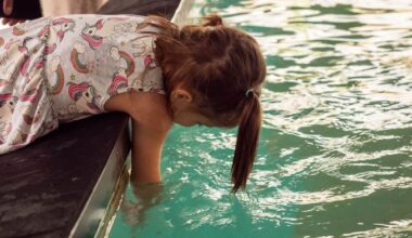 Stingrays return to Tampa Electric’s Manatee Viewing Center after temporary relocation
