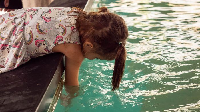 Stingrays return to Tampa Electric’s Manatee Viewing Center after temporary relocation