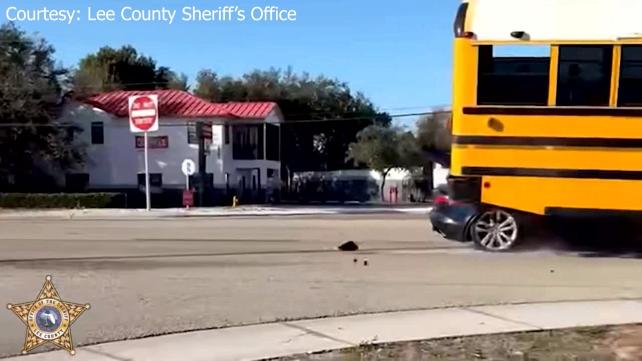 Florida driver crashes into school bus