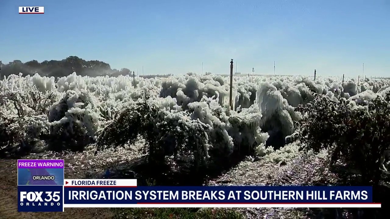 Florida farm drenched in ice as irrigation system breaks