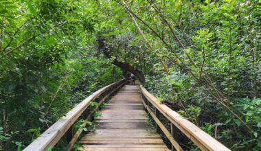 Fort Lauderdale's Little-Known Park Is A Lush, Urban Escape With Trails And A Scenic Dog Swim Spot