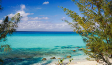 This Tropical Caribbean Island Is Easily Accessible Via Short, Scenic Ferry From Fort Lauderdale