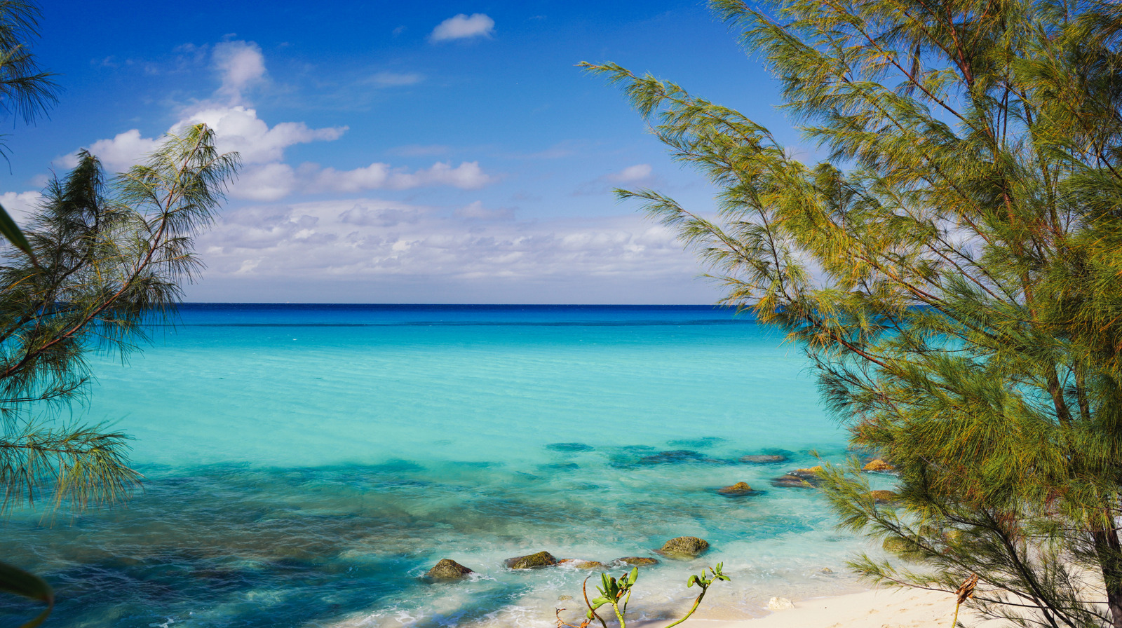 This Tropical Caribbean Island Is Easily Accessible Via Short, Scenic Ferry From Fort Lauderdale