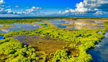 Florida's Once-Thriving Everglades Missile Site Was Abandoned And Transformed Into A Landmark Worth Visiting