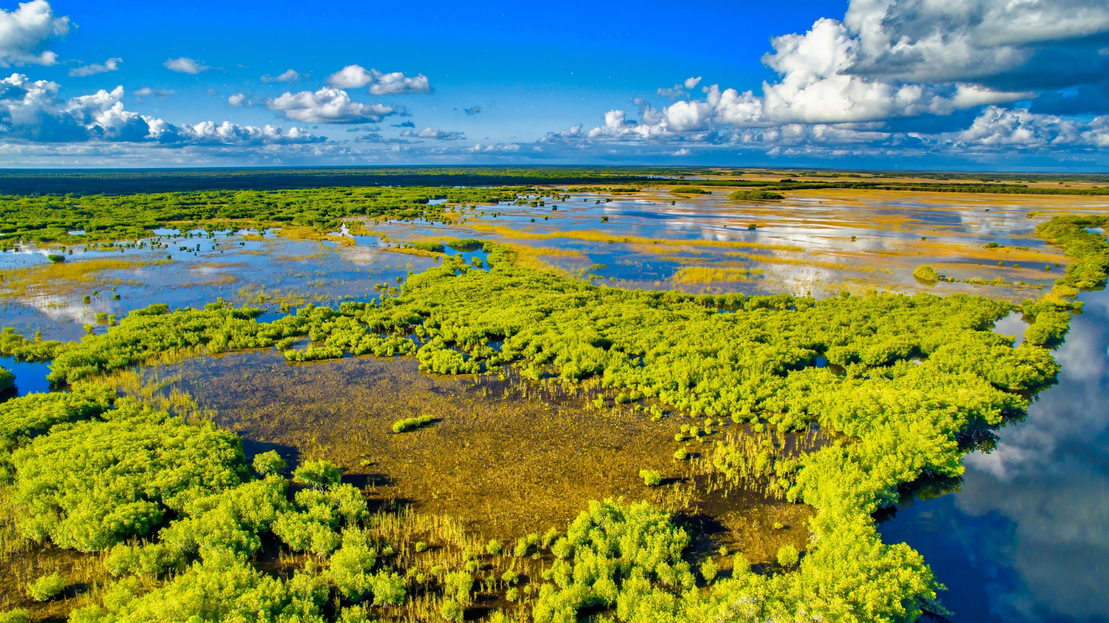 Florida's Once-Thriving Everglades Missile Site Was Abandoned And Transformed Into A Landmark Worth Visiting