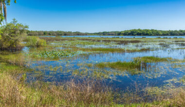 Halfway Between Tampa And Gainesville Is A Lakeside Florida State Park With Scenic Trails And Abundant Wildlife
