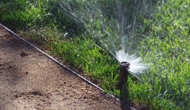 Lawn sprinkler