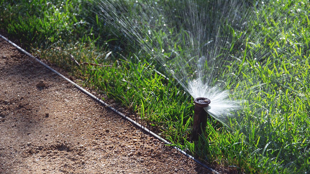 Lawn sprinkler