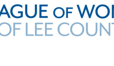 Local Voice, Local Choice: Choosing Commissioners by Single-Member Districts