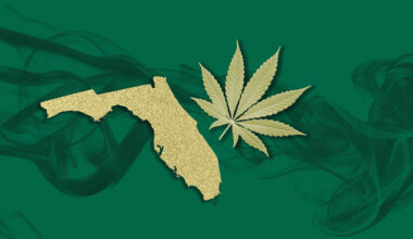 USF students say amendment to legalize marijuana is important for regulation