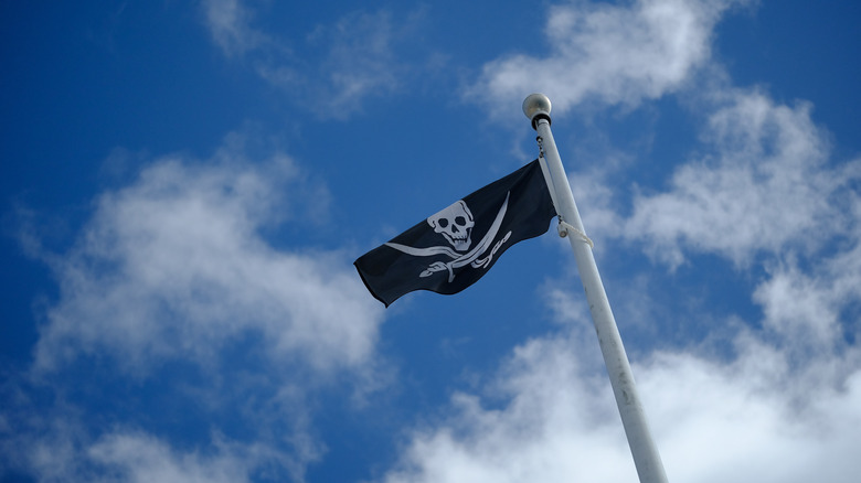 A white and black Jolly Roger flag waves against the blue sky in Tampa, Florida.
