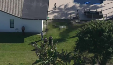 Miami-Dade deputies save man from vicious dog attack, 2 dogs shot and killed