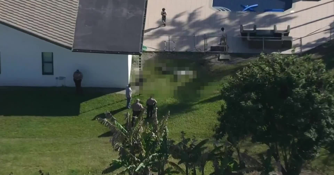 Miami-Dade deputies save man from vicious dog attack, 2 dogs shot and killed