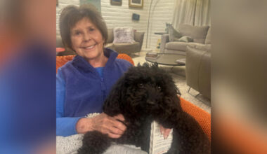 Nancy Guthrie: TMZ receives new email with 'ominous statements'