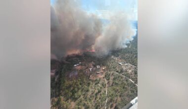 Crews battle large Osceola County brush fire, officials say