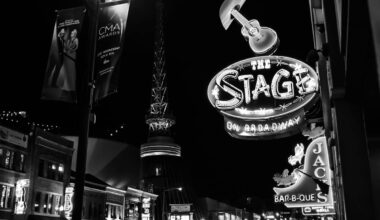 Theaters, Shows, And Everything In between