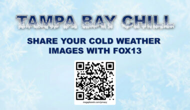 Tampa cold weather photo gallery