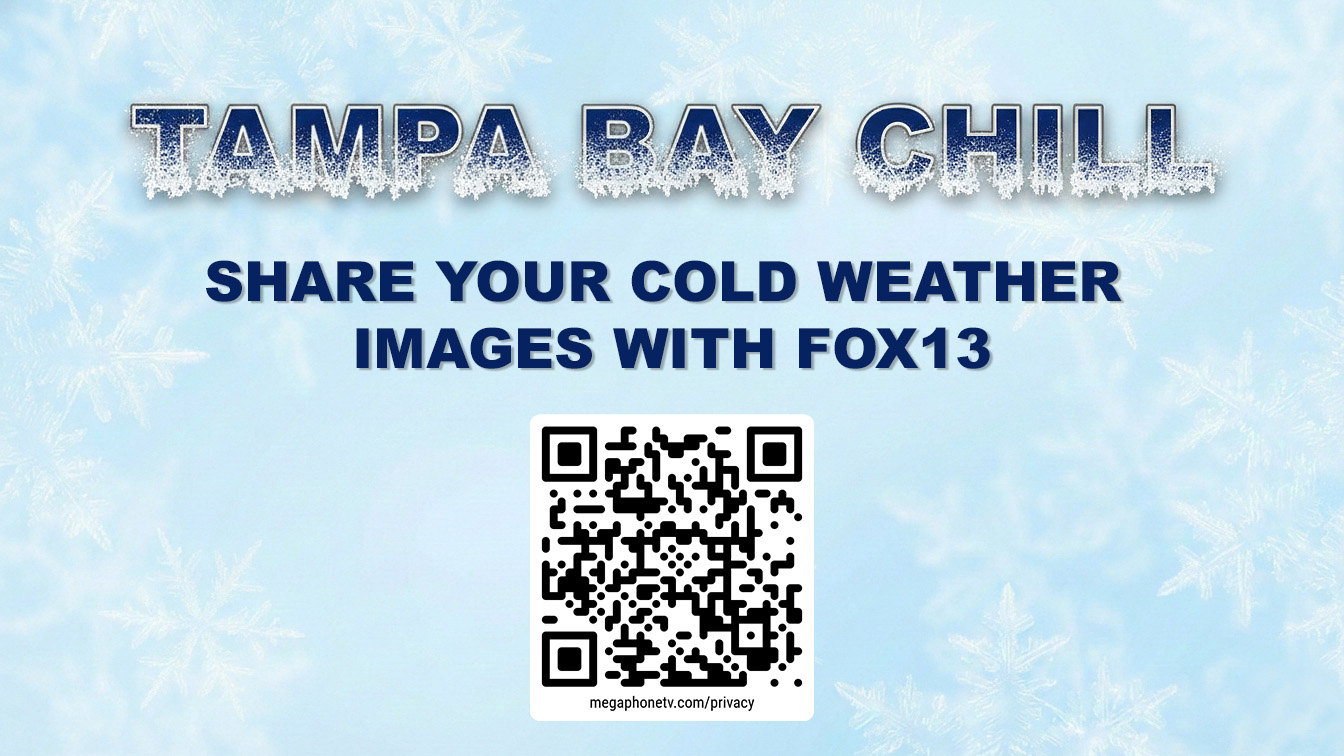 Tampa cold weather photo gallery