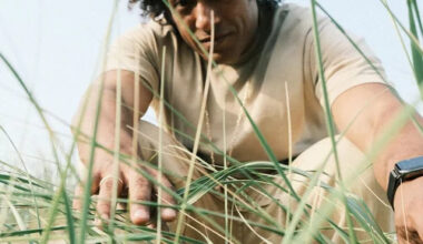 montreaux jazz festival miami