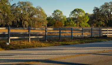 USF community concerned Fletcher District could impact Forest Preserve 