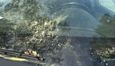 (Spectrum News 1/David Ivey)