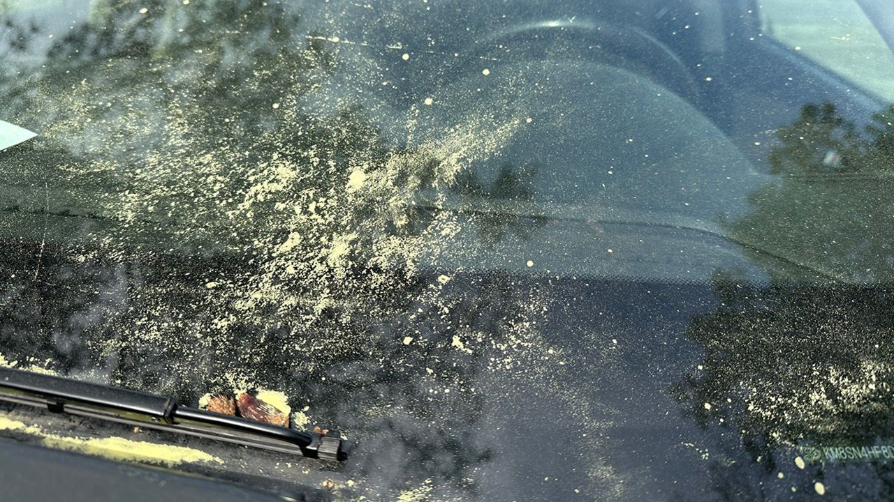 (Spectrum News 1/David Ivey)