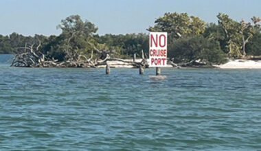 Rally set to oppose cruise port