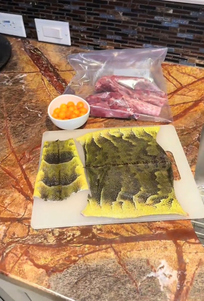 Iguana skin, meat, and eggs on a counter.
