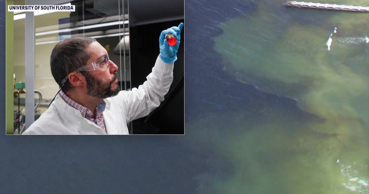 USF researchers harness sunlight in promising breakthrough to fight red tide