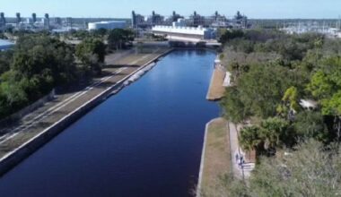 25 manatees reported dead in Florida waters since Friday