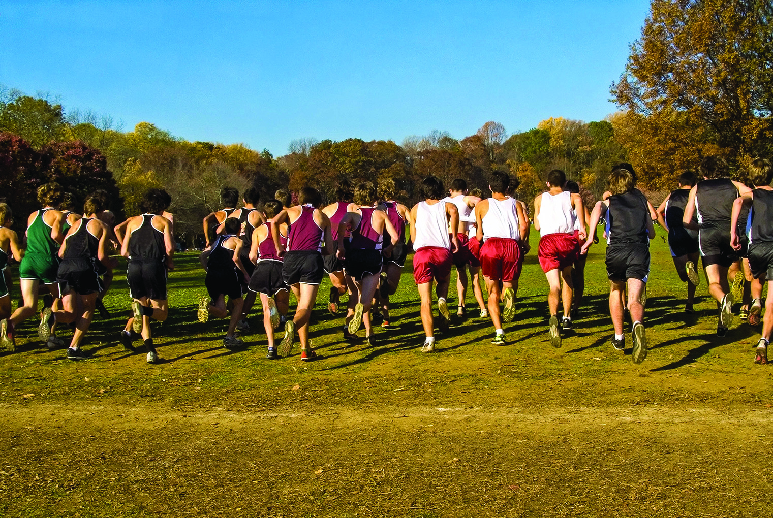 Group of high school cross-country runners seen from behind as they start a race across a grassy field with autumn trees in the background.