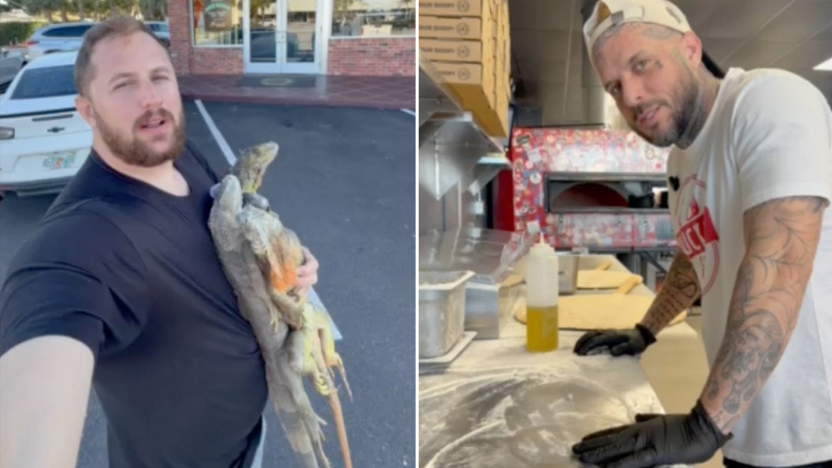Ryan Izquierdo holds some dead iguanas, left, and Frankie Cecere, right, prepares to make iguana meat as a pizza topping.