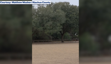 Snow flurries in Florida amid arctic freeze: photos and videos