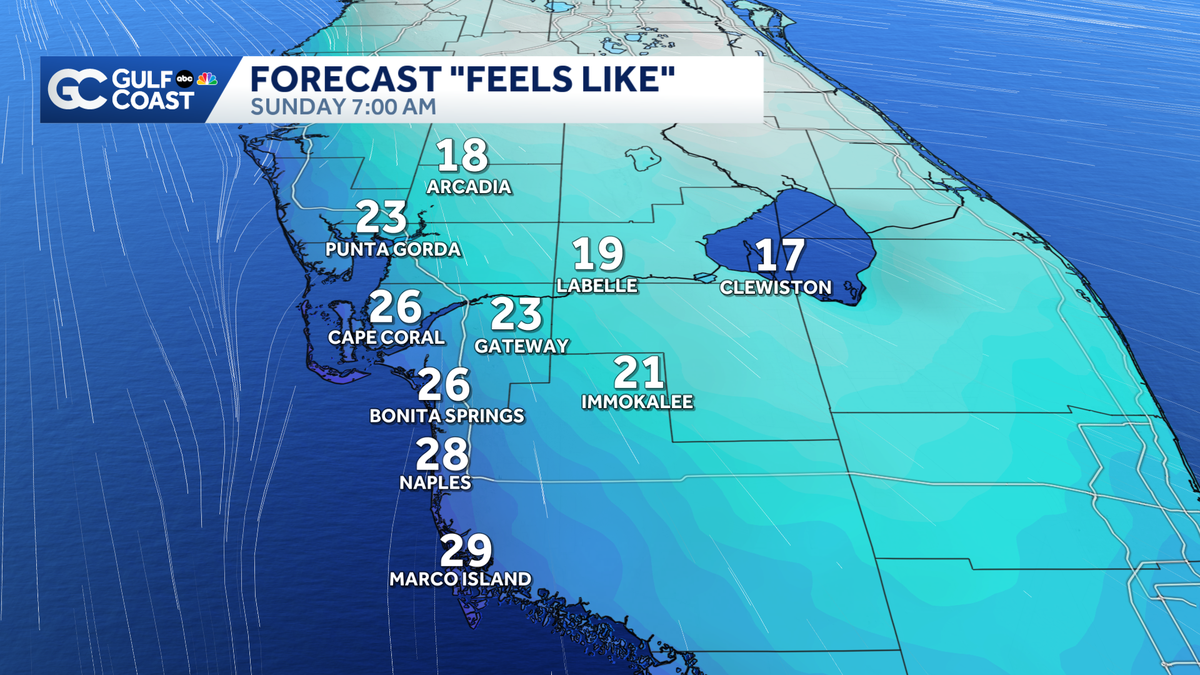 Snow flurries fall across Southwest Florida